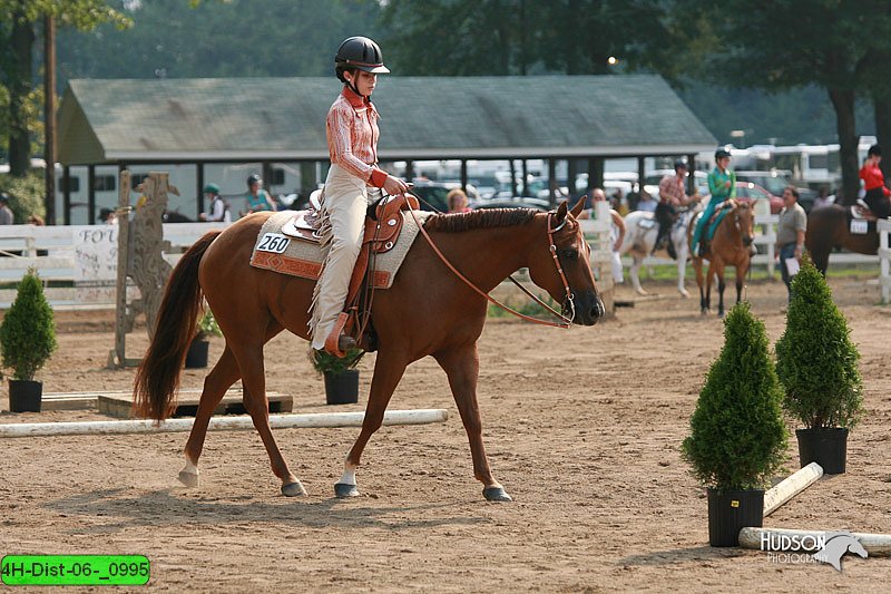 4H-Dist-06-_0995.jpg