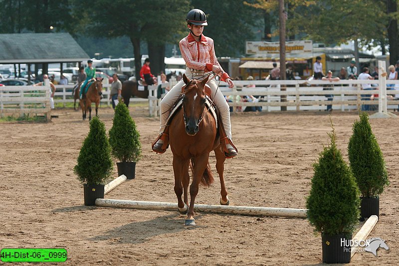 4H-Dist-06-_0999.jpg