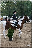4H-Dist-06-_0816.jpg