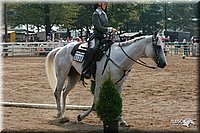 4H-Dist-06-_0892.jpg