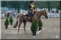 4H-Dist-06-_0918.jpg