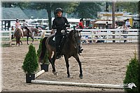 4H-Dist-06-_0969.jpg