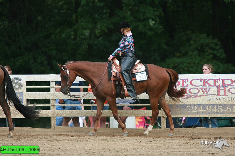 4H-Dist-06-_1055.jpg