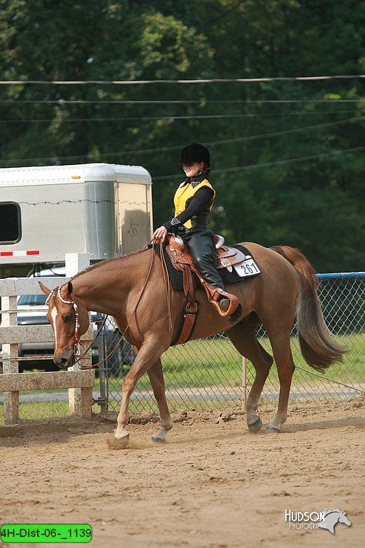 4H-Dist-06-_1139.jpg
