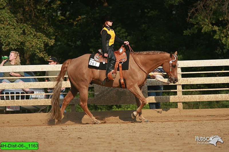 4H-Dist-06-_1163.jpg
