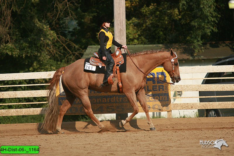4H-Dist-06-_1164.jpg