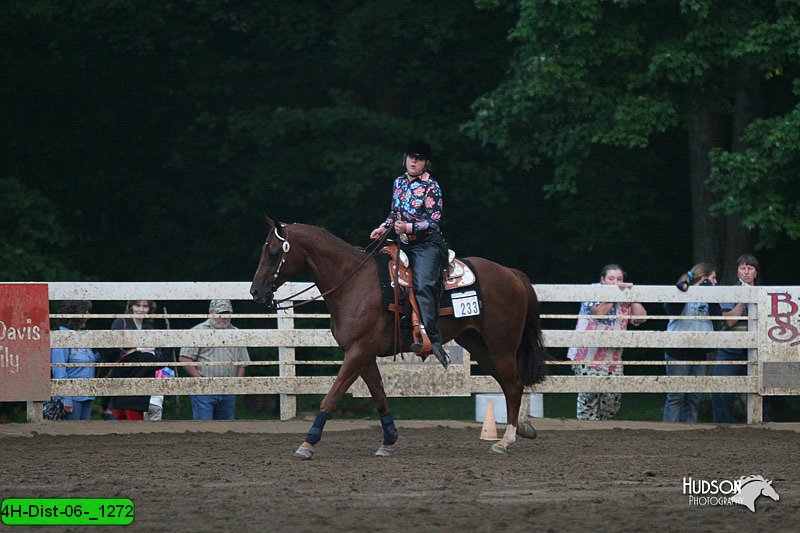 4H-Dist-06-_1272.jpg