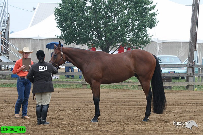 LCF-06_1417.jpg