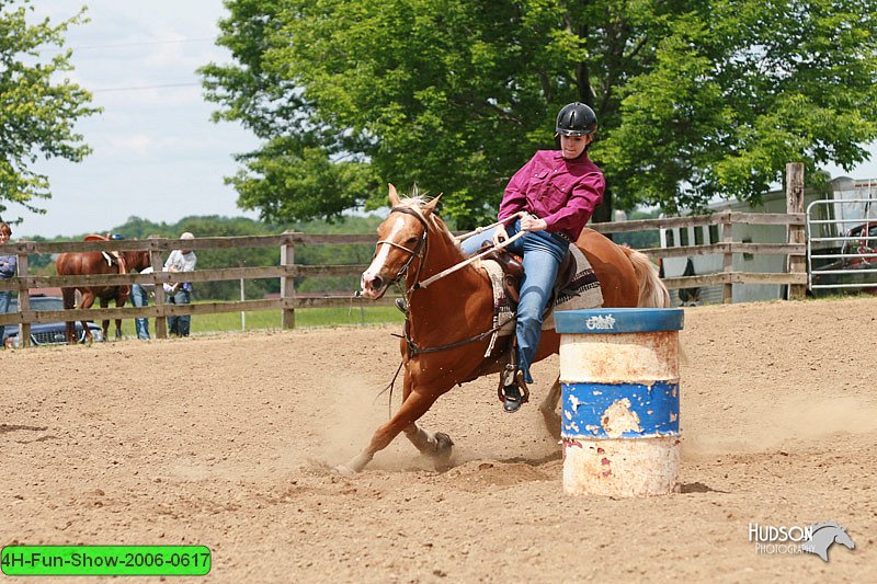4H-Fun-Show-2006-0617.jpg