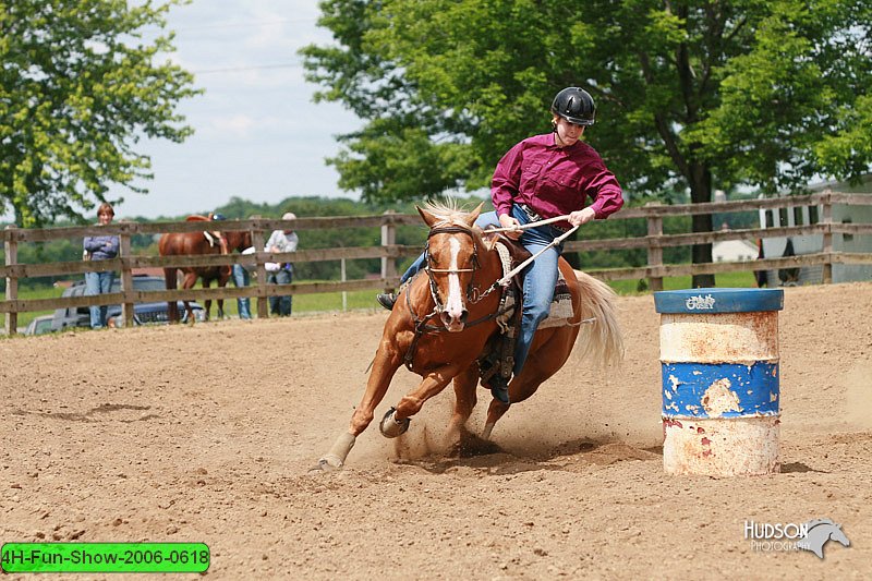 4H-Fun-Show-2006-0618.jpg
