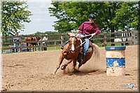 4H-Fun-Show-2006-0618.jpg