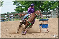 4H-Fun-Show-2006-0705.jpg