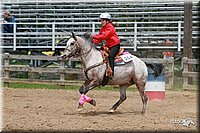 4H-Fun-Show-2006-0717.jpg