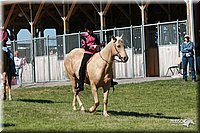 4H-Fun-Show-2006-1511.jpg