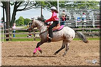 4H-Fun-Show-2006-0207.jpg