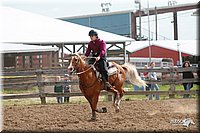 4H-Fun-Show-2006-0211.jpg