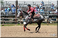4H-Fun-Show-2006-1319.jpg