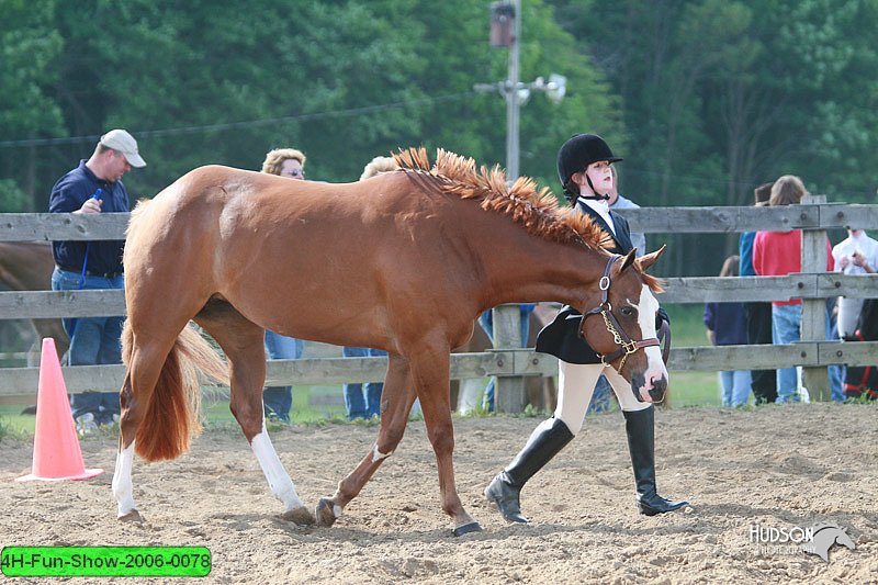 4H-Fun-Show-2006-0078.jpg