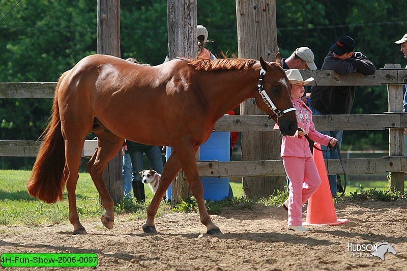 4H-Fun-Show-2006-0097.jpg