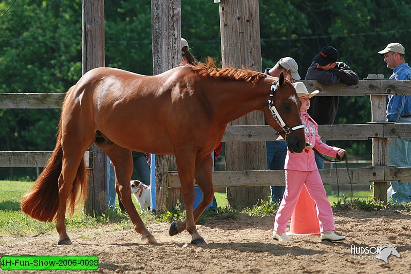 4H-Fun-Show-2006-0098.jpg