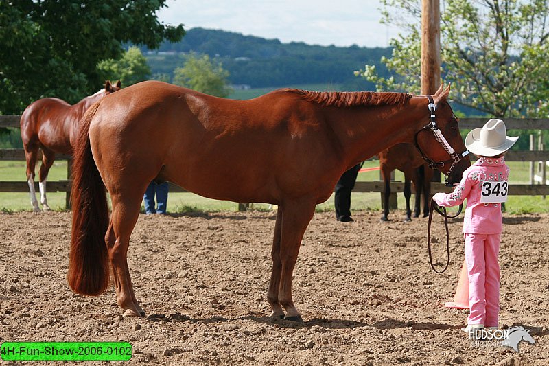4H-Fun-Show-2006-0102.jpg