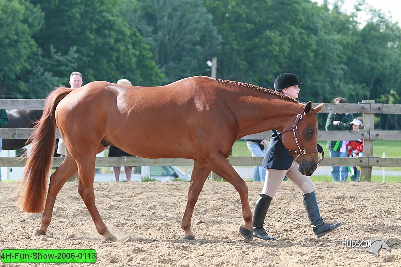4H-Fun-Show-2006-0113.jpg