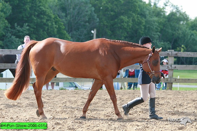 4H-Fun-Show-2006-0114.jpg