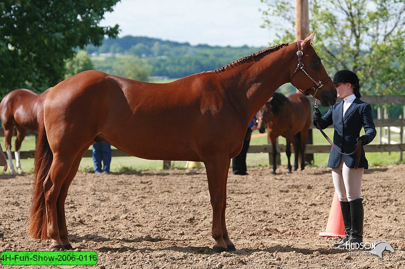 4H-Fun-Show-2006-0116.jpg