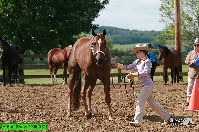 4H-Fun-Show-2006-0127.jpg
