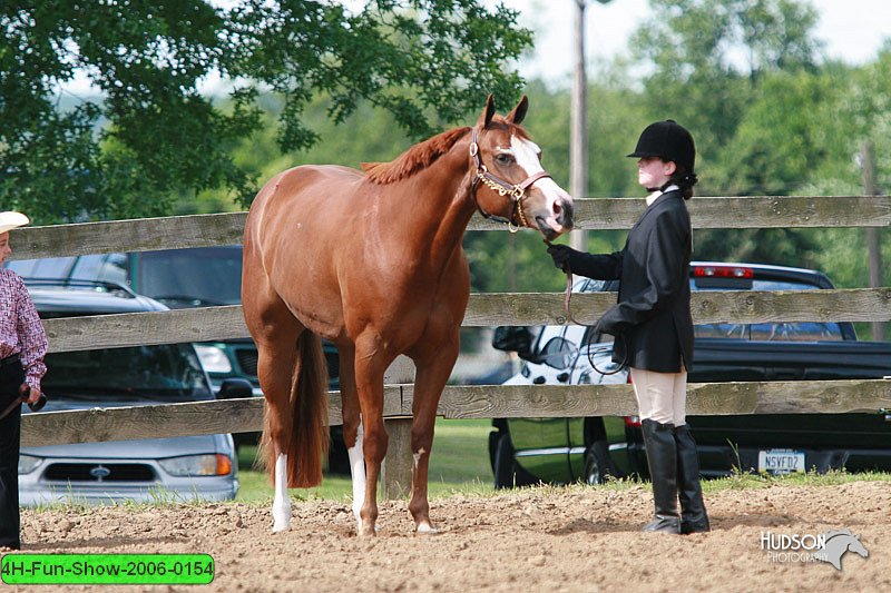 4H-Fun-Show-2006-0154.jpg