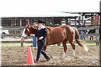 4H-Fun-Show-2006-0002.jpg