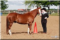 4H-Fun-Show-2006-0003.jpg