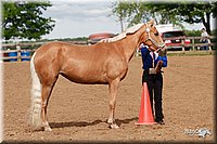 4H-Fun-Show-2006-0006.jpg