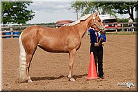 4H-Fun-Show-2006-0007.jpg