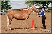 4H-Fun-Show-2006-0008.jpg