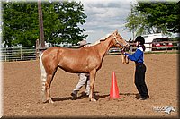 4H-Fun-Show-2006-0009.jpg