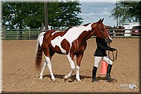 4H-Fun-Show-2006-0019.jpg