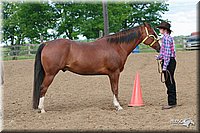 4H-Fun-Show-2006-0020.jpg