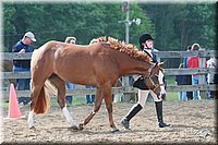 4H-Fun-Show-2006-0078.jpg