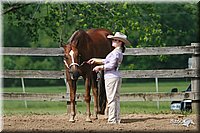 4H-Fun-Show-2006-0147.jpg