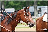 4H-Fun-Show-2006-0464.jpg
