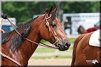 4H-Fun-Show-2006-0465.jpg