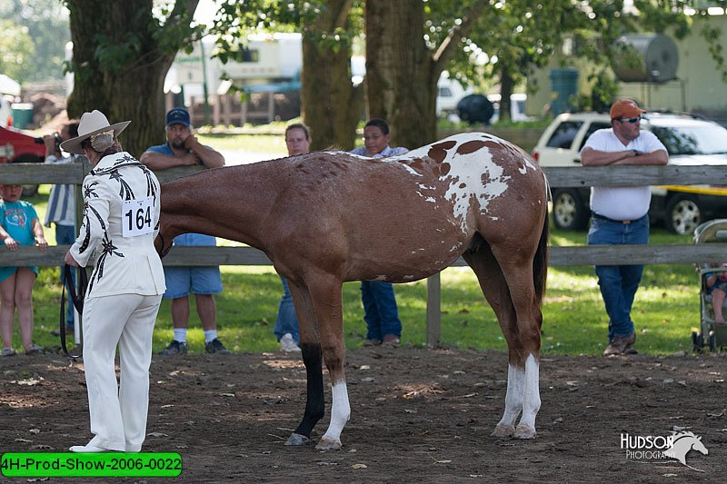 4H-Prod-Show-2006-0022.jpg