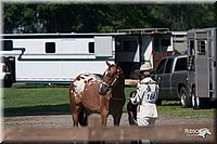 4H-Prod-Show-2006-0001.jpg