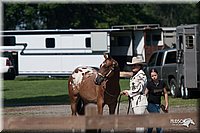 4H-Prod-Show-2006-0004.jpg