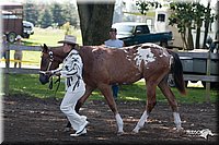 4H-Prod-Show-2006-0014.jpg