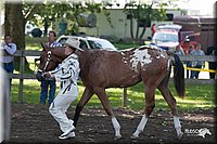 4H-Prod-Show-2006-0016.jpg