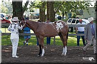 4H-Prod-Show-2006-0020.jpg