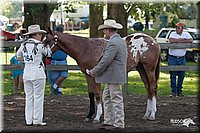 4H-Prod-Show-2006-0021.jpg