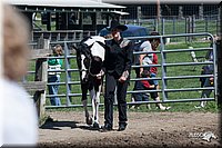 4H-Prod-Show-2006-0128.jpg